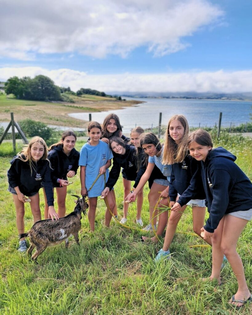 animales-cabra-embalse-amigas